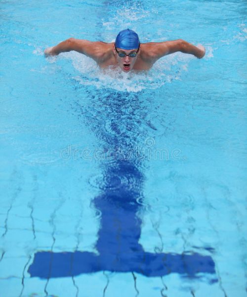 dynamic-fit-swimmer-performing-butterfly-stroke-professional-swimming-dolphin-style-cristal-water-swimming-pool-31878233